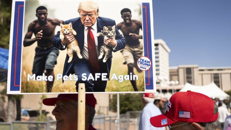 Where does the racist rumor of Haitian immigrants “eating cats and dogs” come from, relayed by Donald Trump?