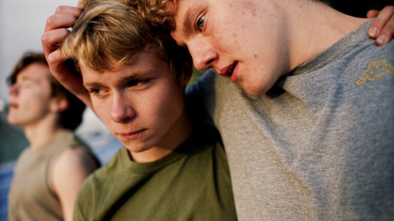 a disturbing film about a group of teenagers in the turmoil of Icelandic social violence