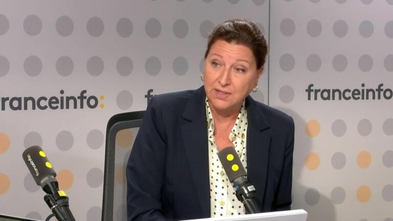 the former Minister of Health Agnès Buzyn regrets that this device, although “pragmatic and intelligent”, serves to “brush an electorate in the right direction”