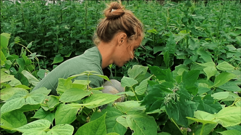 the story of a young farmer ready to do anything to launch her aromatic plant farm