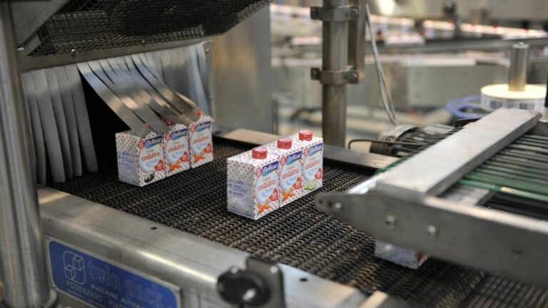 A first dairy says it is ready to take over breeders let go by Lactalis