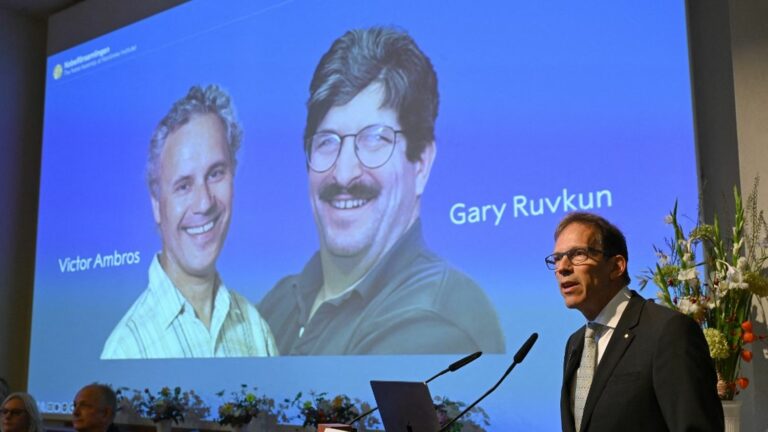 American biologists Victor Ambros and Gary Ruvkun rewarded for their work on microRNAs