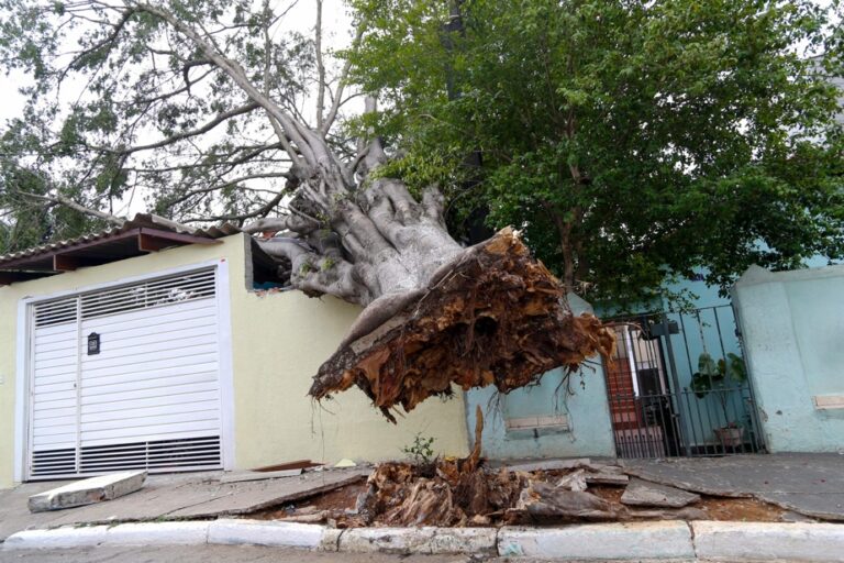 Brazil | Heavy rains kill at least eight people