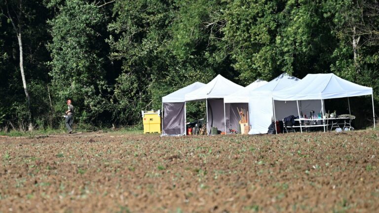 Excavations in Yonne near the “Emile Louis cemetery” have ended, a dozen “potentially interesting” objects found, according to the prosecutor