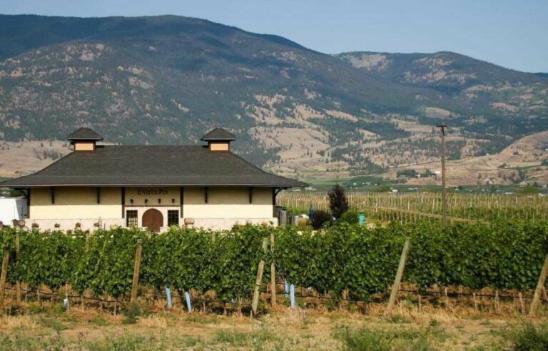 From Vine to Glass: The Okanagan Valley Resilience Model