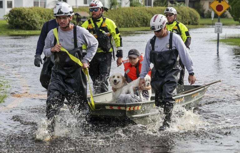 Hurricane “Milton”: Floridians repair their homes and clean up the damage