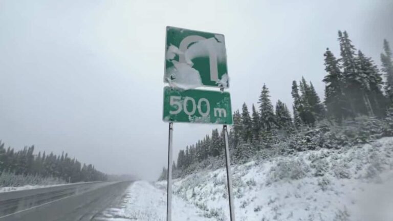 IN PICTURES | Quebec receives its first snowflakes!