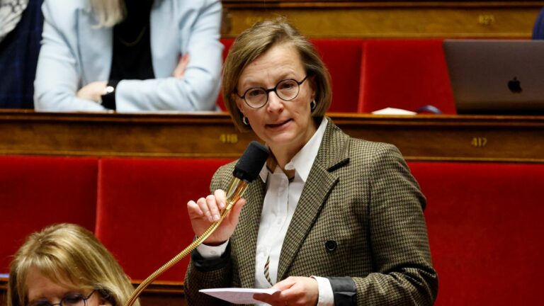 MP Stella Dupont leaves the Macronist group over fundamental disagreements and denounces “the RN’s hold on the government”