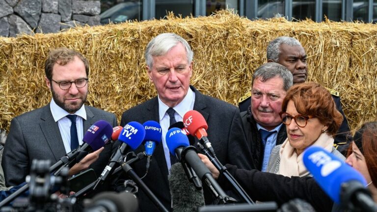 Michel Barnier announces guaranteed loans, 75 million euros for sheep breeders