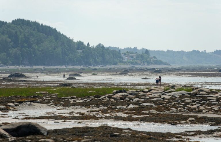 Mobilization against the ban on feeder fishing in the St. Lawrence River