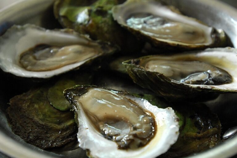 Prince Edward Island | The parasite that threatens oysters has spread