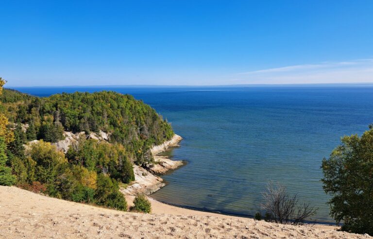 Quebec announces its “Nature Plan 2024-2028”, endowed with $900 million, and promises to better protect biodiversity