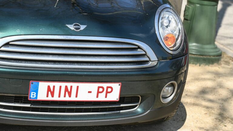 REPORTING. “Babar, “Barbie”, “Canapé”… In Belgium, the success of personalized license plates brings big returns to the State