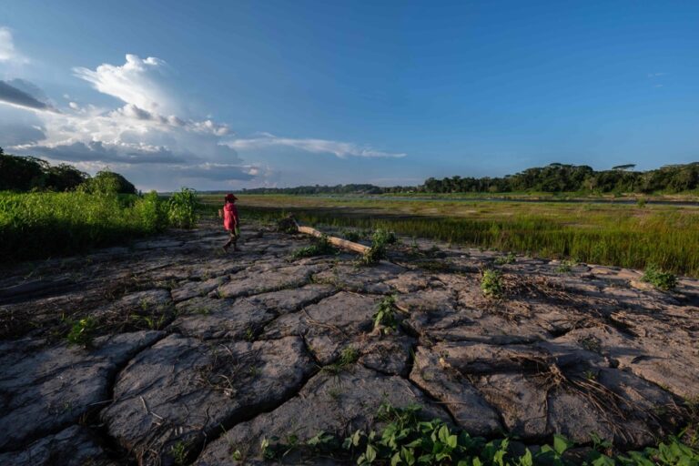 State of the Earth Study | “We are on the brink of an irreversible climate catastrophe”