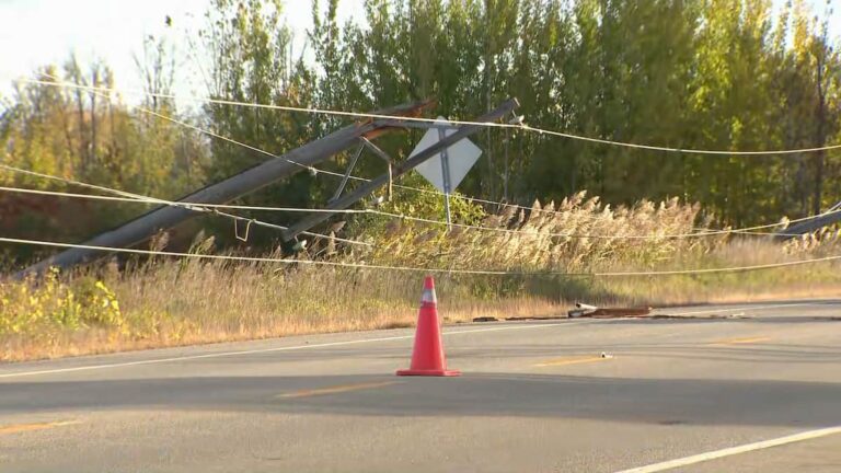 Strong winds and toppled power poles: 30,000 customers without electricity