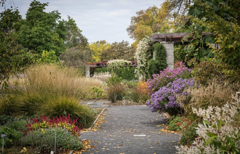 The Montreal Botanical Garden will get a makeover at a cost of $450 million