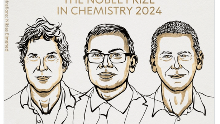 The Nobel Prize in Chemistry is awarded to the Americans David Baker and John Jumper, as well as the British Demis Hassabis for their research on proteins