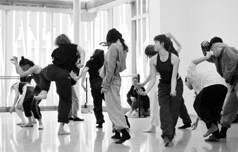 The challenge of professionalizing the dance sector