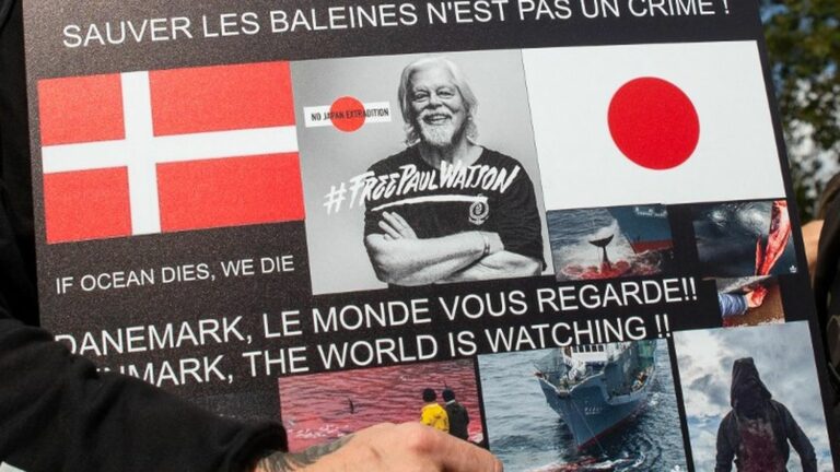 The pre-trial detention of Paul Watson, environmental activist imprisoned in Greenland, is extended until October 23