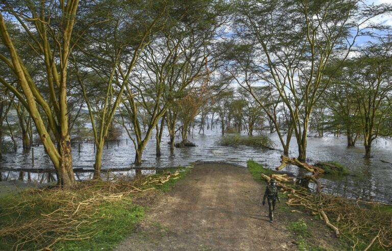 Tropical wetlands cause methane emissions to soar