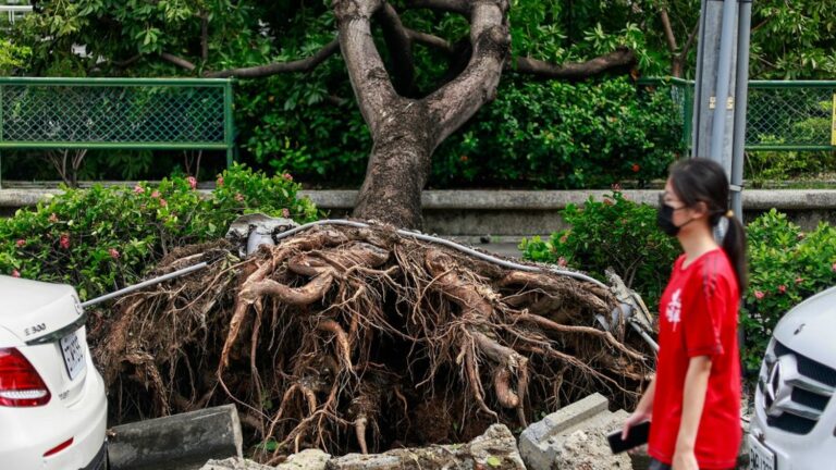 Typhoon Krathon death toll rises to four, at least 700 injured