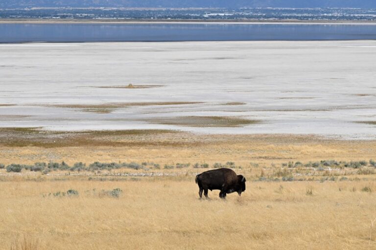 Utah | Despite the drying up of the Great Salt Lake, Trump’s climate skepticism is forgiven