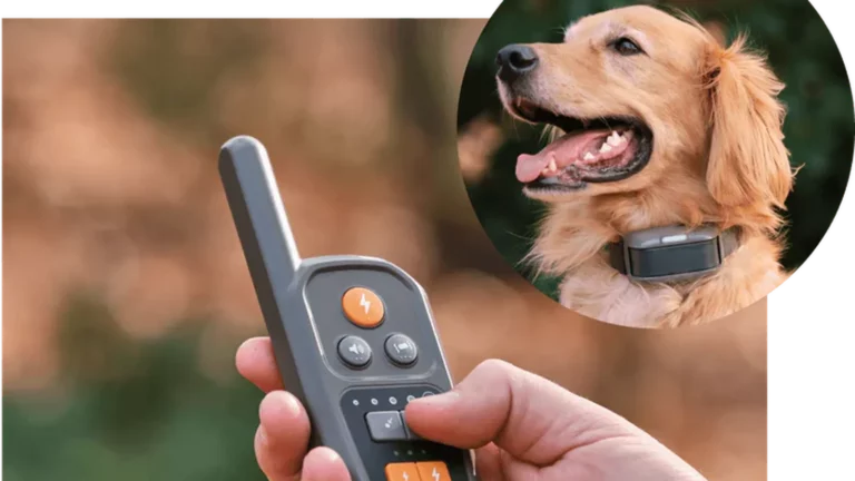 a virtual leash to keep your dog close