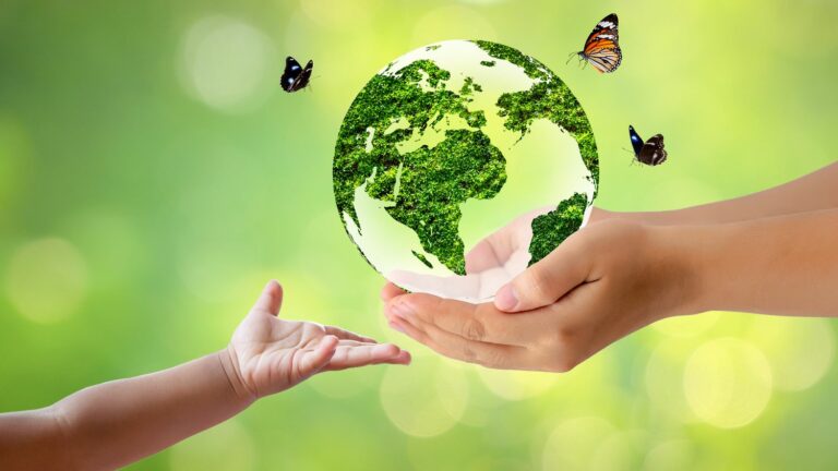 how to buy a truly environmentally friendly product?