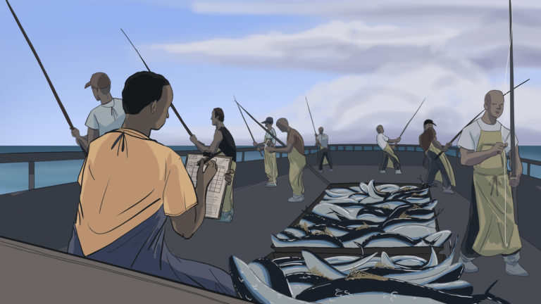 Perilous Waters: The Dangers Faced by Fishing Observers