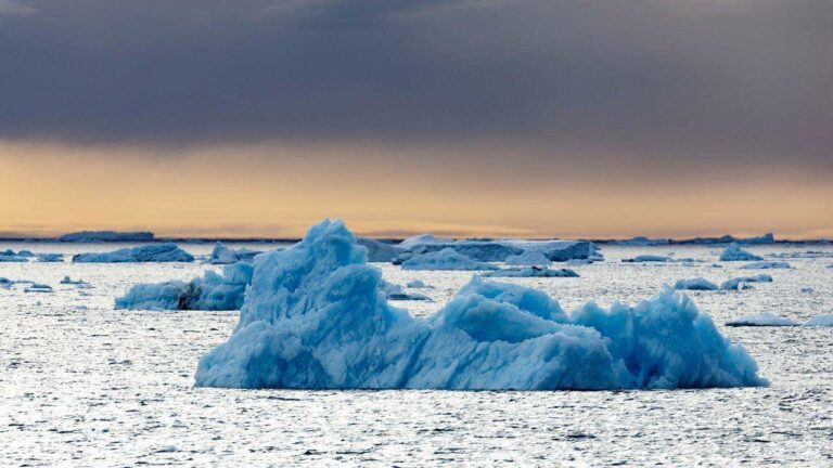 Antarctic Commission Fails to Reach Consensus on Marine Conservation Zones