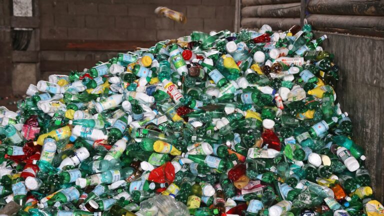 in the United States, two chemists from the University of Berkeley say they have discovered a revolutionary recycling process