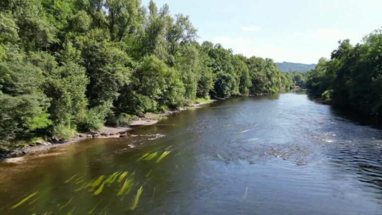 the Dordogne, a river that is being reborn thanks to renaturation projects