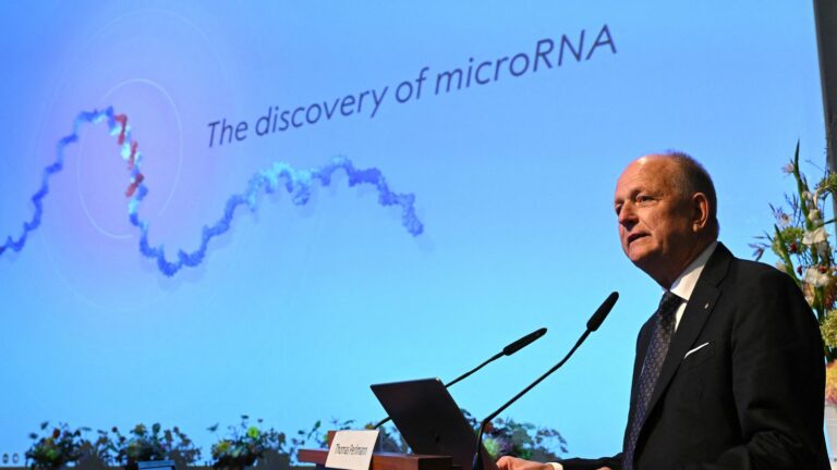 the discovery of microRNAs will help “control the expression of genes in certain diseases”, explains a researcher