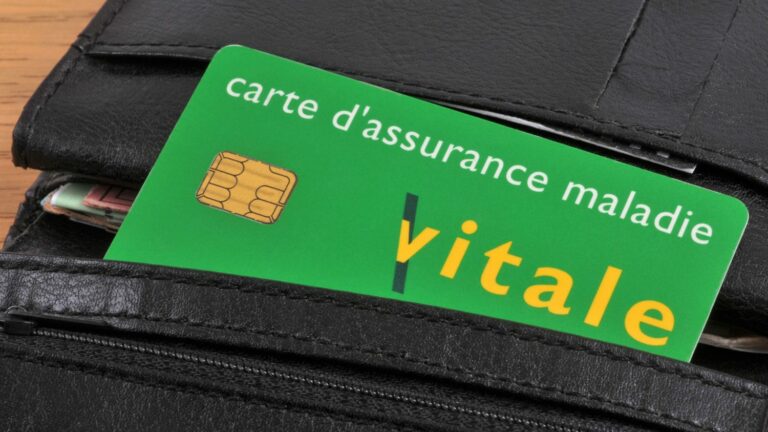 what projects have already been launched to secure the Vitale card?