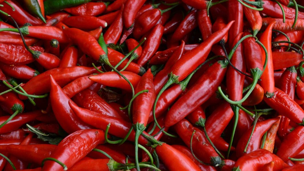 Exploring the Pleasure of Spicy Foods: Why Many Relish the Heat of Chili Peppers