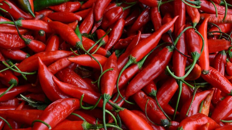 Exploring the Pleasure of Spicy Foods: Why Many Relish the Heat of Chili Peppers