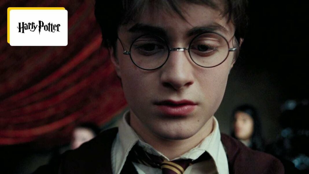 Unveiling a Chilling Secret in the Harry Potter Saga That Most Fans Overlooked for 20 Years - Cinema News - AlloCiné