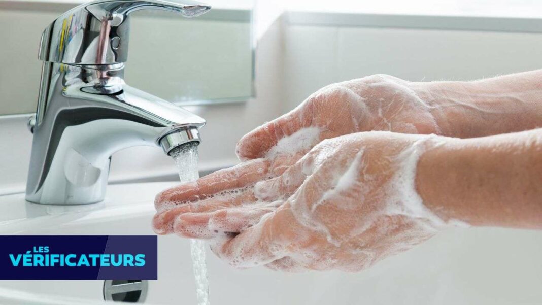 Handwashing: The Key Hygiene Practice to Combat Winter Viruses