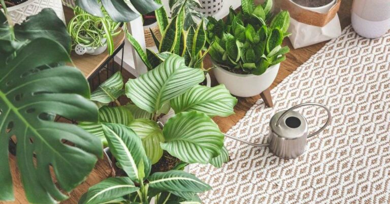 8 Indoor Plants Interior Designers Love More Than Cacti