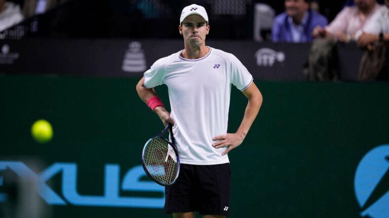 DTB Team Expresses Frustration Over Singles Loss in Davis Cup Final