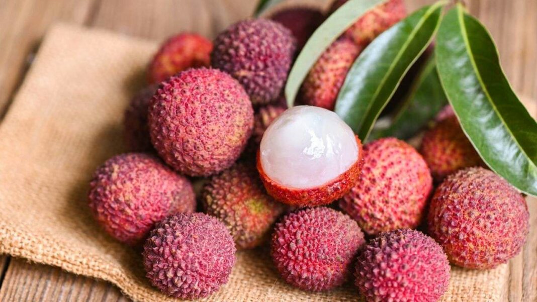 Celebrate Christmas at 1 PM: A Festive Lychee Dessert Parade in La Réunion