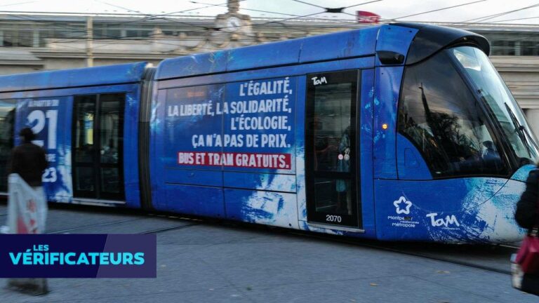 Montpellier's Free Public Transport Initiative: 33% Increase in Usage and Decrease in Car Traffic?