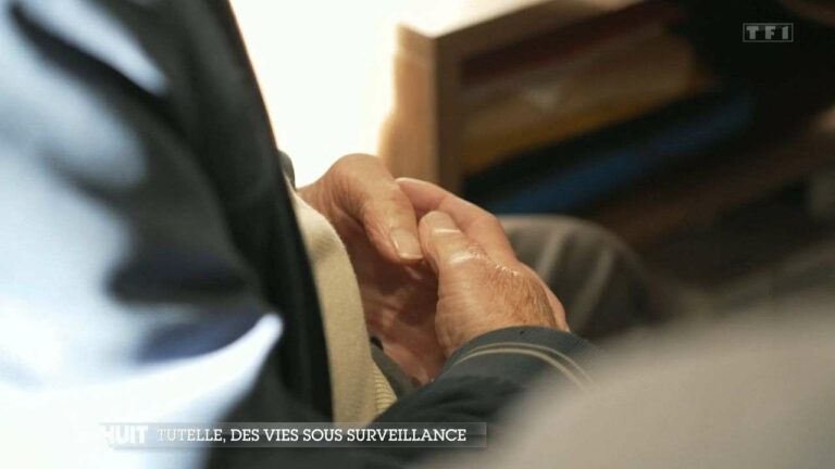 Title: Protecting Vulnerable French Citizens: How the Justice System Shields Them from Exploitative Relatives