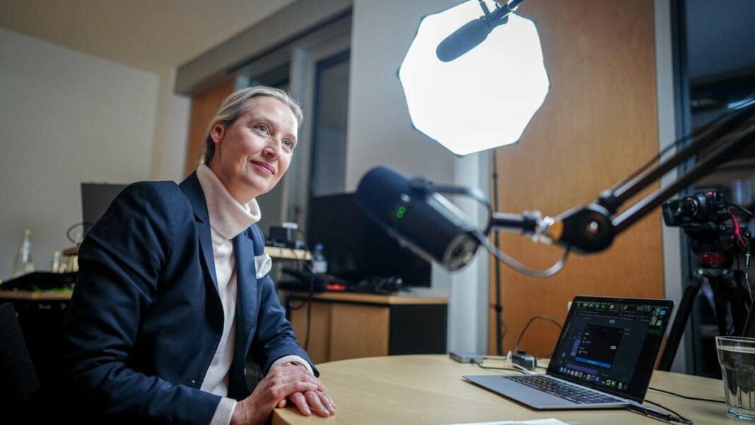 Dialogue between Musk and Weidel: Debunking Misinformation from Migration to National Socialism