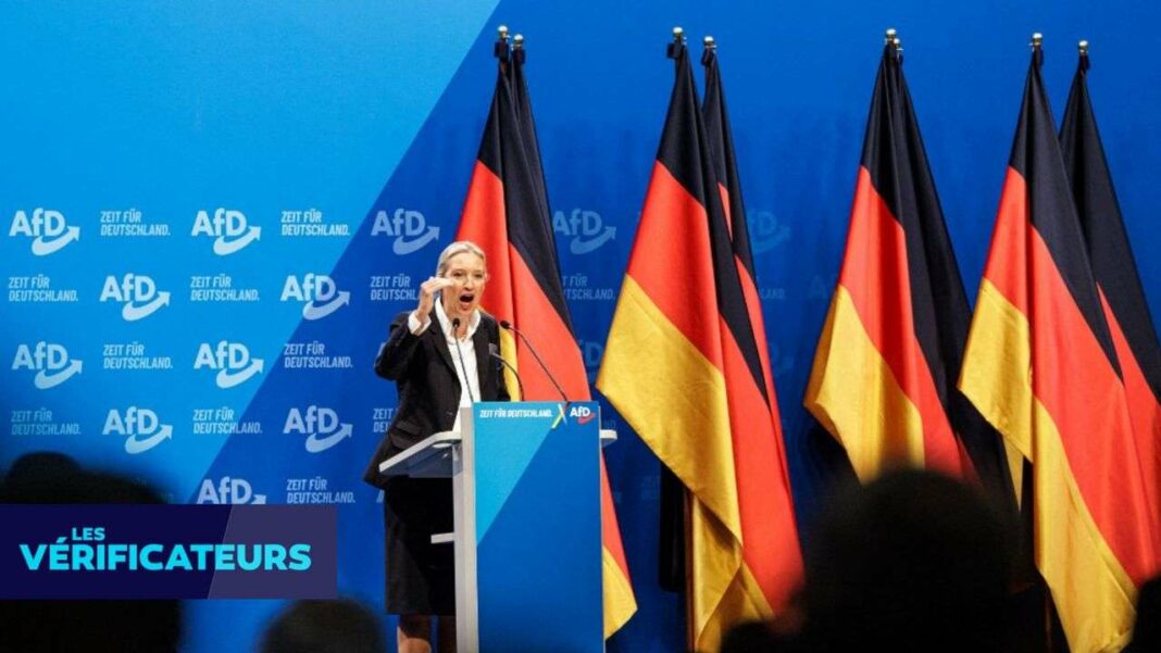 AfD in Germany Issues Controversial 