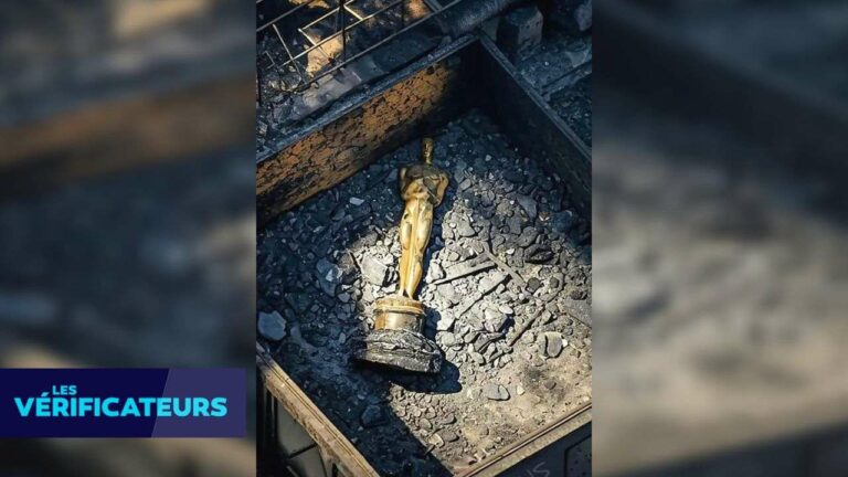 Oscar Found in Los Angeles House Fire: Truth Behind the Discovery