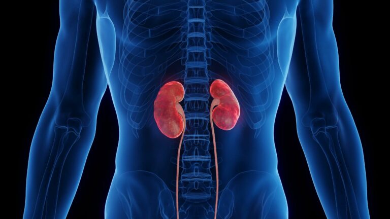 Expert Identifies Common Everyday Products That Can Damage Your Kidneys Before It's Too Late