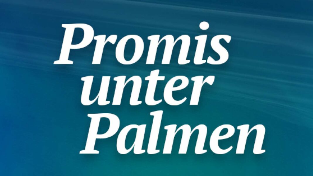 Promise under Palms: January and February 2025 Broadcast Schedule and Streaming Options