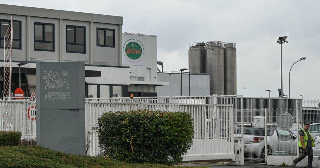 Italpizza Resumes Production at Caudry Facility Two Years Post Buitoni Pizza Contamination Scandal