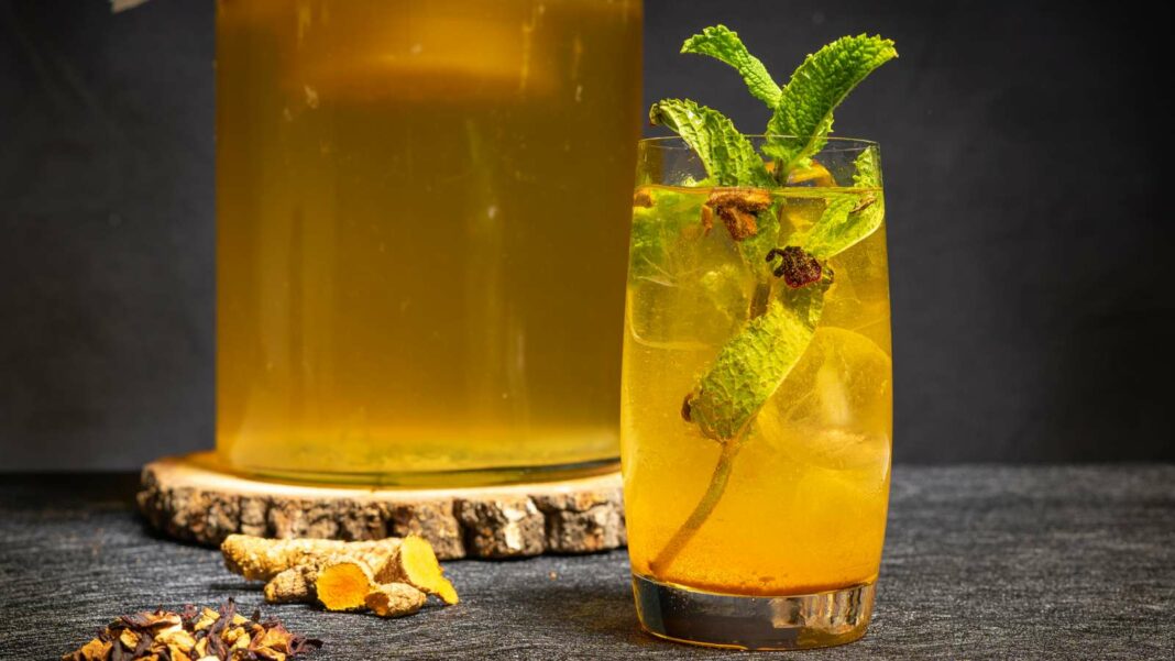 Kombucha: Essential Insights on the Gut Health Elixir Everyone is Talking About